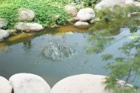 Hefei Tuju Baogongyuan Camping Site