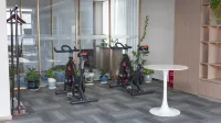 Dengfeng Zhen You Yuan Boutique Hotel - palestra