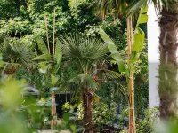EST Hotel Palais Chotek NEW OPENING Hotels near Strudlhofstiege