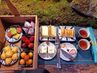 漫隨觀山·Meet Snow Mountain度假民宿