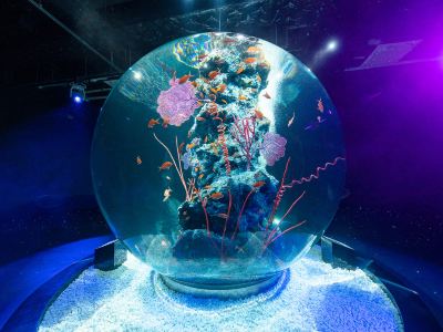 ホテル周辺 神戸トアロードホテル山楽の写真