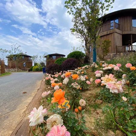 Xuzhou Jiuding Mountain Wildlife Park Senlu Homestay