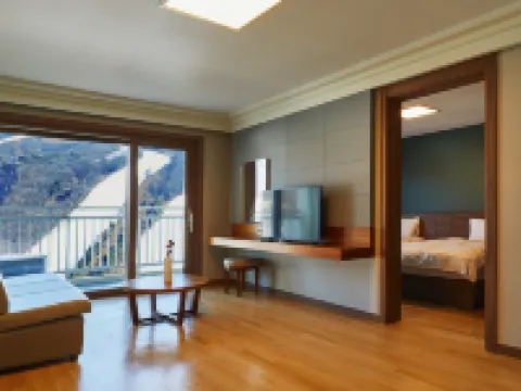 維瓦爾第公園酒店 洪川郡酒店