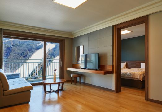 비발디파크 시설