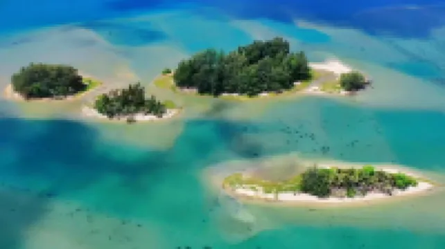 Lingshui Qingfeng Xiaozhu (Qingshuiwan Nanwan Monkey Island Branch)