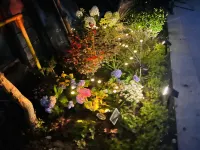 Qishan Yuhai B&B