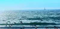 Wyndham Garden Weihai Dream Sea - Romantic