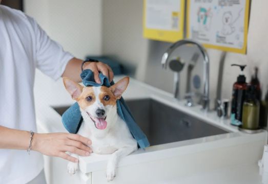 주변 환경 사진 1