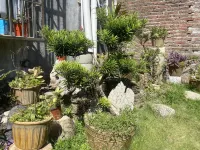 Shengfeng Homestay Hotels near Guangdong First Peak Resort