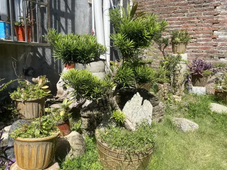 Shengfeng Homestay Отели рядом с достопримечательностью «Guangdong First Peak Resort»