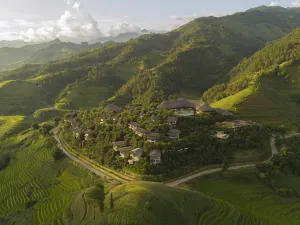 Garrya Mu Cang Chai