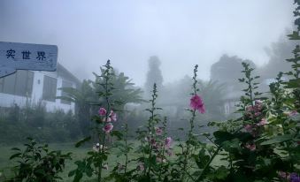 Qiandao Lake Collection Yangyunjian Holiday Villages
