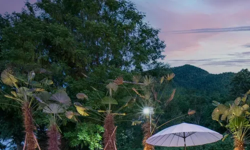 Liyang Nanshan Bamboo Sea Dreamland Art Hot Spring B&B
