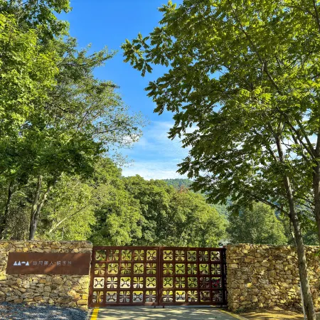 Shanyuesuiren · Ming Yuzhen (Suizhou Sui Ginkgo Valley)