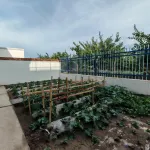 Ganzhou Shuiyunjian Homestay - balcony