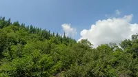 Panshan Yunlus Homestay (Huangguoshu Waterfall Scenic Area Store)