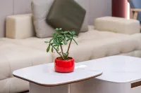 Zhongqing Hotel (Sanming Yong'an South Station Hydropower & Electric Power College Branch)