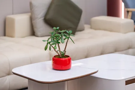 Zhongqing Hotel (Sanming Yong'an South Station Hydropower & Electric Power College Branch) Отели в г. Юнань