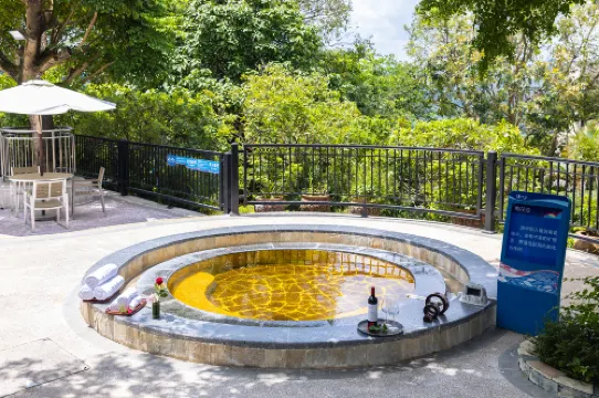 廣州碧桂園金葉子溫泉度假飯店（白水寨店）