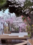 교토 하츠네 호텔 - 주방