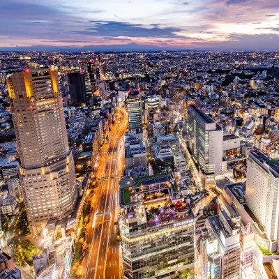 세룰리언 타워 도큐 호텔 도큐 백화점 주변 호텔