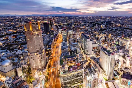 โรงแรมเซรูเลียน ทาวเวอร์ โตคิว