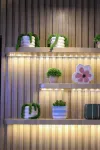 Nava Hotel Purwokerto