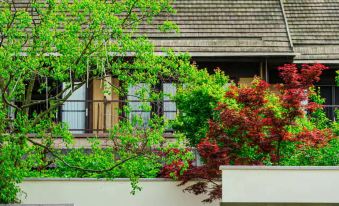 THE SPRING VILLA (Dujiangyan Panda Valley)