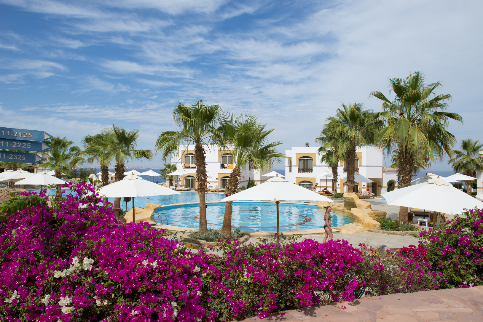 Amphoras Blu Ultra-AI Adults Only
