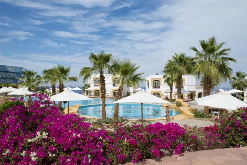 Amphoras Blu Ultra-AI Adults Only