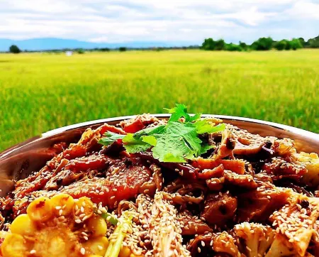 Rice Villa ChiangMai Отели рядом с достопримечательностью «Elephant POOPOOPAPER Park Chiang Mai»