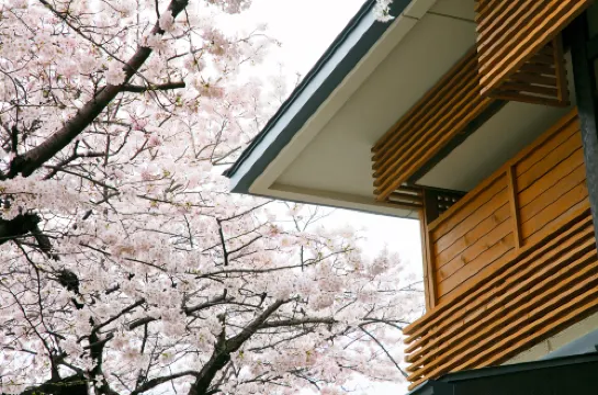 京都 嵐山溫泉 花傳抄(共立度假區)【2026年新裝修】 外觀 Photos