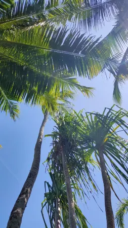 Tiki Boutique Hotel Lombok Отели рядом с достопримечательностью «Pantai Selong Belanak»