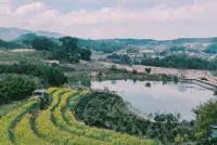 Bingyingge