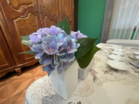 Yi Jing Bi Yuan Hotel