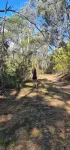 Canyonleigh Retreat Hotels in Bundanoon