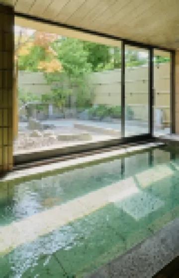 Mt Fuji View and Private Sauna Ryokan Shizuku(No accommodation for 12 years old and below)