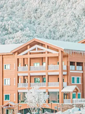 Yingxue Hotel Hotels in Dayi