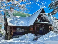 Mountain View Chalet Hakuba