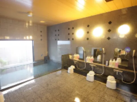 โรงแรมรูท-อินน์ อาชิคางะ เอคิมาเอะ โรงแรมในอาชิคางะ