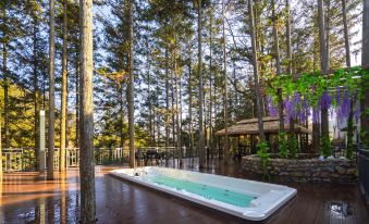 Wuyuan Huayu Yashe Wentang Vacation Apartment