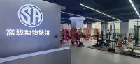 Haisheng International Hotel - Gym