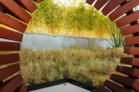 เจดับบลิว แมริออท แอนะไฮม์ รีสอร์ท