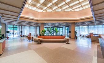 Orange Hotel (Changde Wanda Plaza Wenli College)