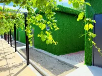 Meet the animal homestay