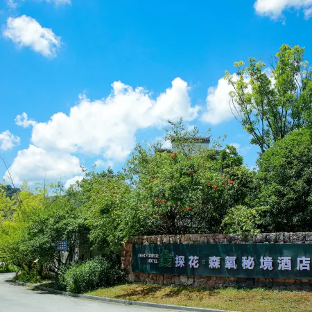 WUYUAN SEEK FLOWER HOTEL