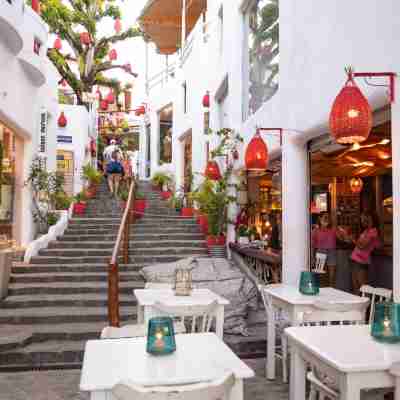 皮帕瑟斯別墅飯店 Hotel Exterior