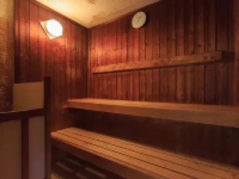 AZUMINO KOGEN RESORT - Hot Springs