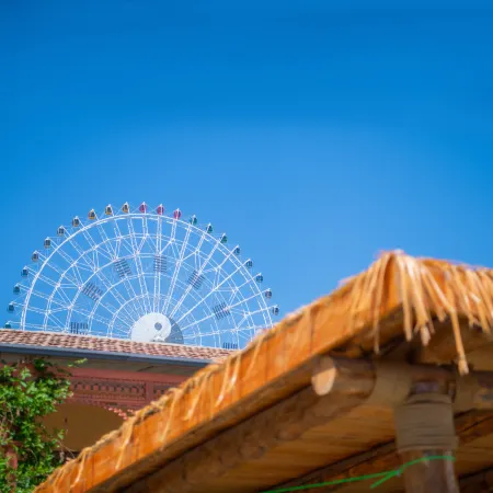 Temei Inn