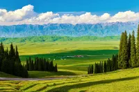Nala Cloud-Herding Boutique Homestay - con vista montagne